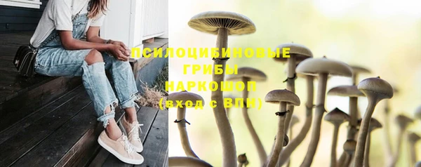 гашишное масло Кодинск