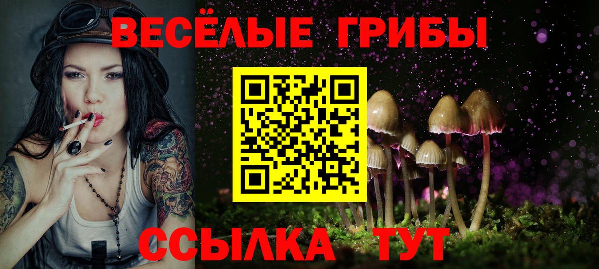 Псилоцибиновые грибы MAGIC MUSHROOMS  Псилоцибиновые грибы мухоморы  хочу наркоту  Калининград  Вход с VPN 