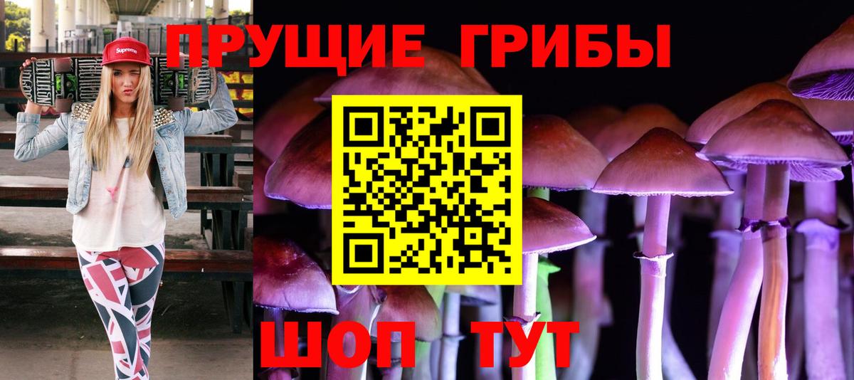 Псилоцибиновые грибы мухоморы Калининград