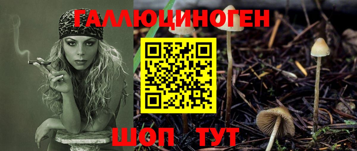 Галлюциногенные грибы GOLDEN TEACHER  Калининград 