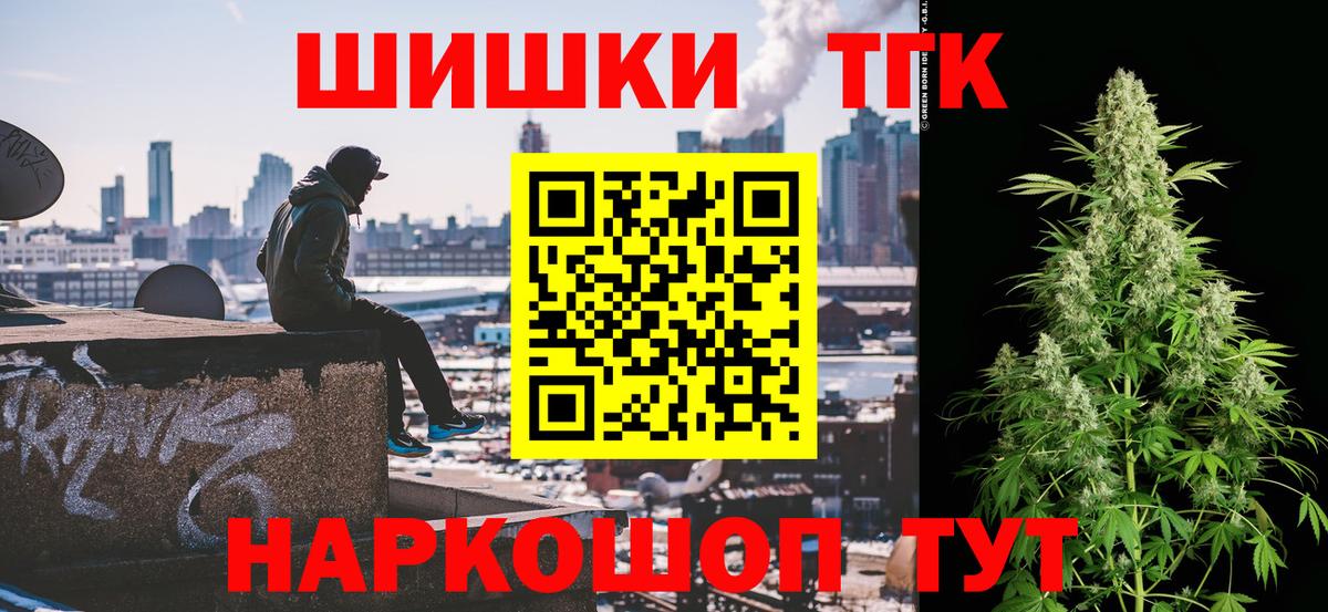 Бошки Шишки планчик Калининград